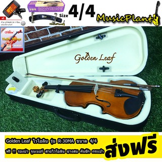 Golden Leaf Violin ไวโอลิน รุ่น R-30MA มีหลายขนาด เลือกไซส์ได้ พร้อม กระเป๋า ที่รองบ่า คันชักไวโอลิน ยางสน สายไวโอลิน