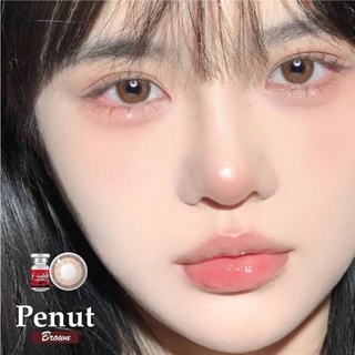 ✨ Penut brown (Lovely lens) ขนาดมินิ Mini ✔️เลนส์จดทะเบียนเป็นเครื่องมือทางแพทย์ 🇰🇷เลนส์เกาหลีนำเข้าถูกต้อง🇰🇷