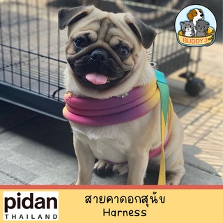 Pidan สายรัดตัว รุ่น Harness &amp; Leash (M)