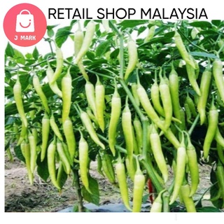 2 IN 1 Biji Benih Pelbagai Benih Sayur/Vegetable Seed 2 Dalam 1 Seed Fertilizer Gardening Tool Vegetable Seed Home &amp; Liv