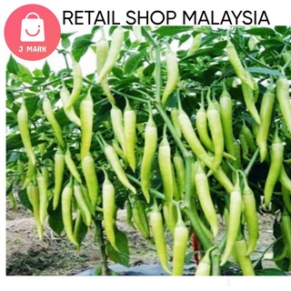 2 IN 1 Biji Benih Pelbagai Benih Sayur/Vegetable Seed 2 Dalam 1 Seed Fertilizer Gardening Tool Vegetable Seed Home &amp; Liv