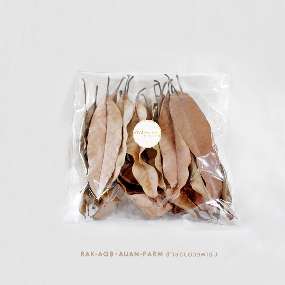 ใบมะม่วงแห้ง (ใบไม้แห้ง)อาหารสำหรับ isopod จำนวน 30 ใบ