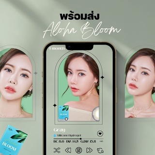 พร้อมส่ง -2.00, -3.25 [🌼มีโค้ดลด 20%] Lensme รายเดือน Aloha Bloom Gray