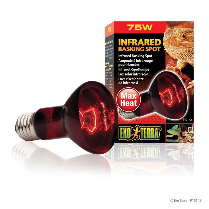 EXo Terra infared หลอดไฟอินฟาเรดให้ความร้อนช่วงกลางคืน 50/75/100​วัตต์ สำหรับเต่าบกและเบียร์ดดราก้อน