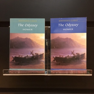 The Odyssey - Homer / Translation by George Chapman