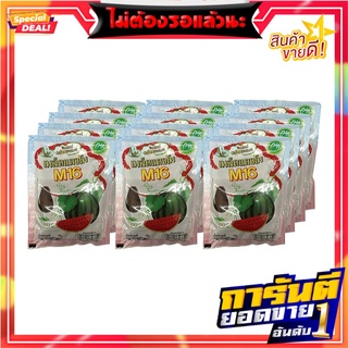 เอ็ม16 เมล็ดแตงโมอบ 25 กรัม แพ็ค 12 ซอง M 16 Black Watermelon Seed 20 g x 12