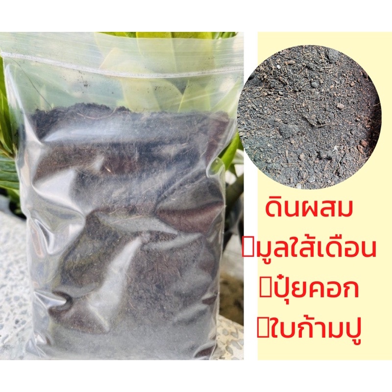 ดินผสมใบก้ามปู หมักอินทรีย์ 500 กรัม วัสดุเพาะปลูก ปลูกต้นกล้า