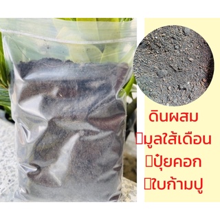 ดินผสมใบก้ามปู หมักอินทรีย์ วัสดุเพาะปลูก ปลูกต้นกล้า
