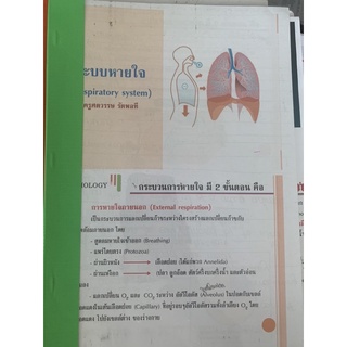 ชีทชีวะ ระบบหายใจ มือ 2 *ใช้กระดาษ Recycle ปริ้นสี biology