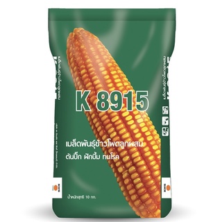 เมล็ดข้าวโพดลูกผสม K8915 ต้นสูงใหญ่ ฝักใหญ่ ปลูกให้วัว หรือ เก็บฝักได้ เมล็ดพันธุ์สายพันธุ์แท้จากเยอรมัน (10 กก.)