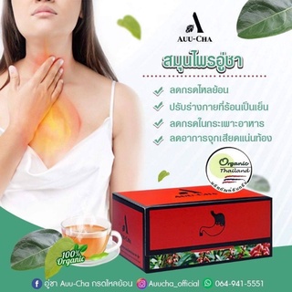 Auu-Cha อู่ชา ชาลดกรดไหลย้อน ชาแก้กรดไหลย้อน สมุนไพรลดกรดไหลย้อน สมุนไพรแก้กรดไหลย้อน สมุนไพรย่านางแดง 1 กล่อง