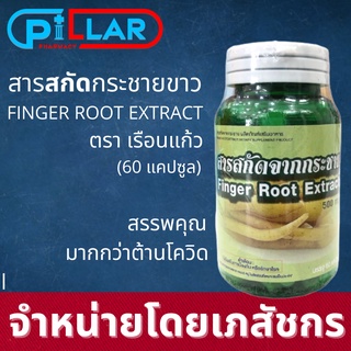 กระชายขาวสกัด ตราเรือนแก้ว 60แคปซูล กระชายขาว FINGER ROOT EXTRACT แก้ท้องอืด อาหารไม่ย่อย เสริมภูมิคุ้มกัน [1 กระปุก]