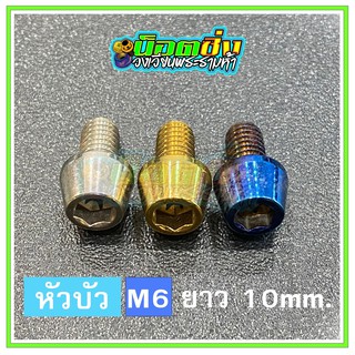 น็อตสแตนเลส หัวบัว ขนาดเกลียว m6 ยาว 10 mm.