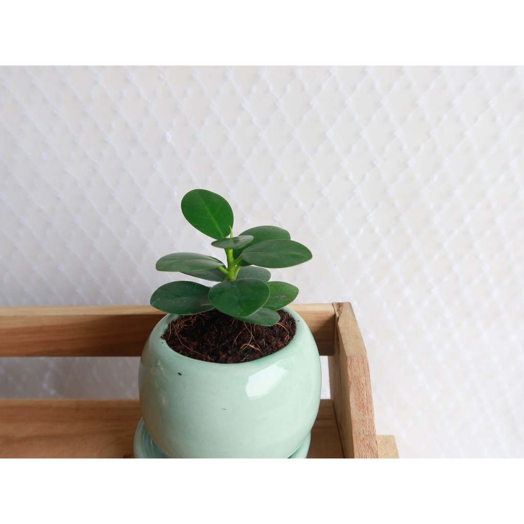 มุมมอง 3