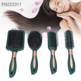 Pisces317 ชุดแปรงหวีผม นวดผม ฝ้า สําหรับผู้หญิง 4 ชิ้น