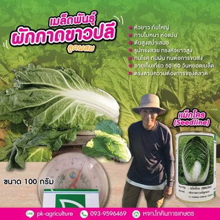 เมล็ดพันธุ์ผักกาดขาวปลี แม็กโคร (Seedline) ขนาด 100 กรัม