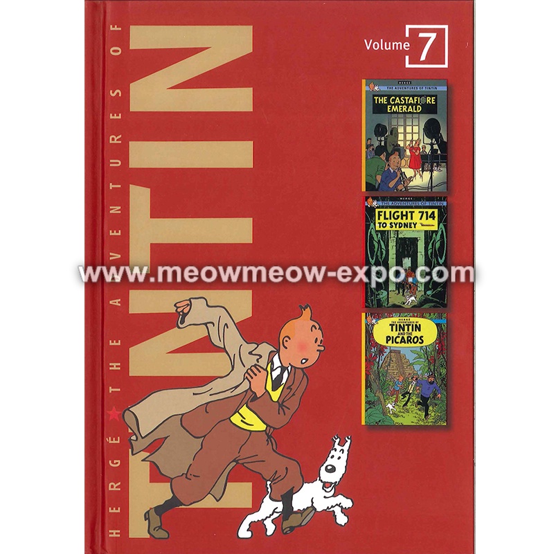 AD07 The Adventure of TinTin: 7