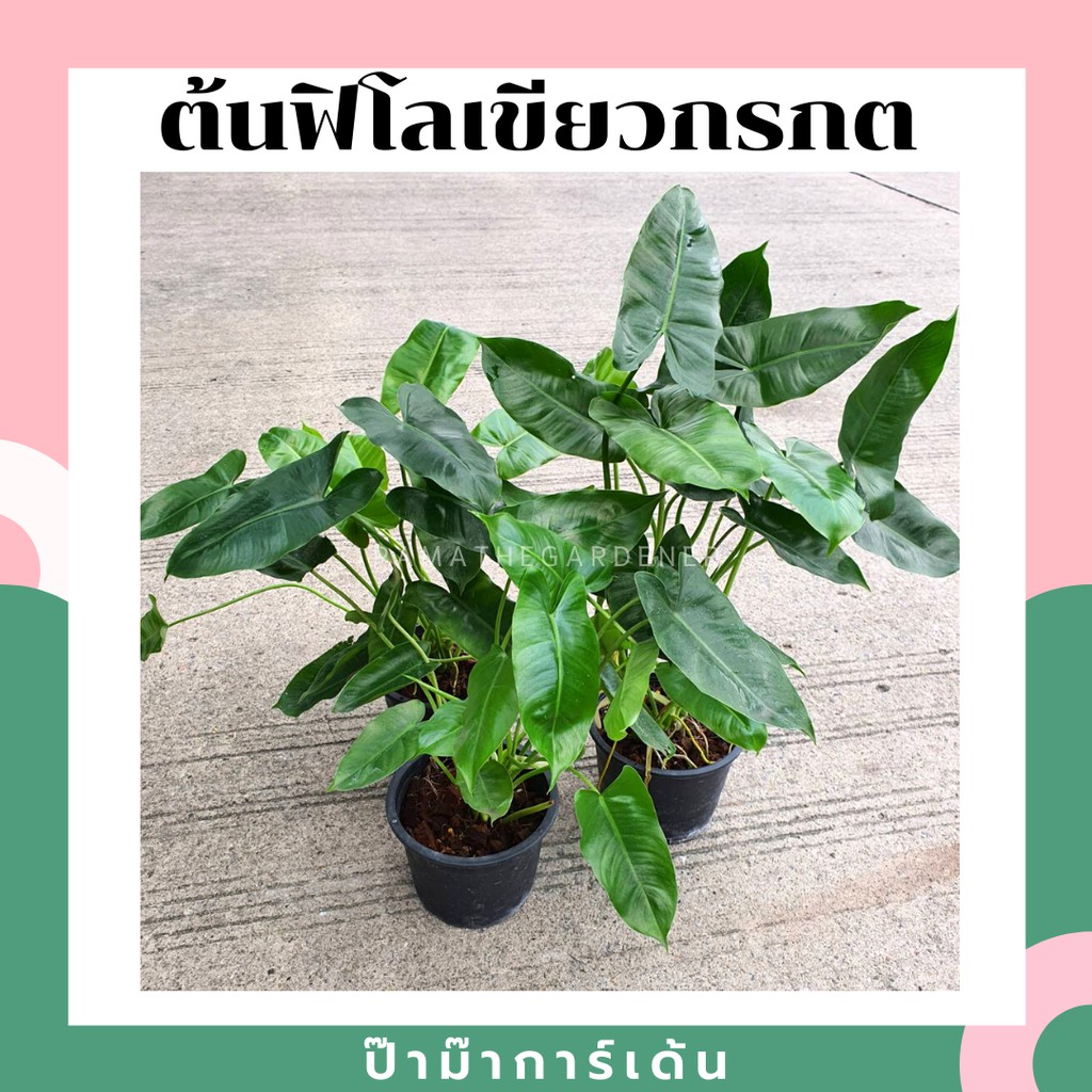 มุมมอง 3