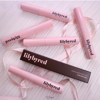 #พร้อมส่ง LiLybyred 9AM to 9PM Survival Color Cara