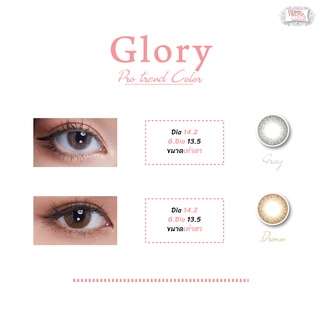 protrendcolor : คอนแทคเลนส์ รุ่น Glory brown / Glory gray