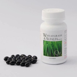 ผักเม็ด Wheat grass&amp;Alfalfa amstrong