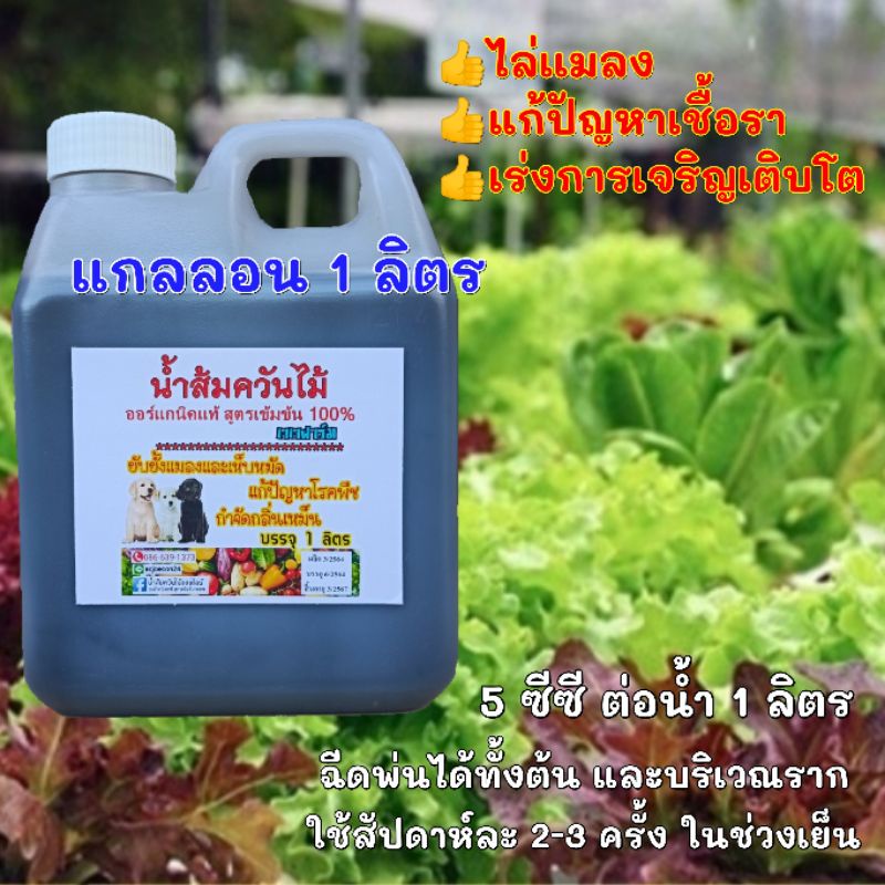 แกลลอน 1 ลิตร"เจเจฟาร์ม" หัวเชื้อน้ำส้มควันไม้เข้มข้น 100 % (ยังไม่ผสมน้ำ) น้ำส้มควันไม้