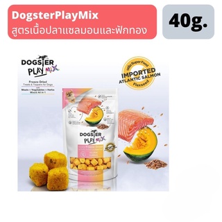 ส่งฟรี DogsterPlayMix สูตรเนื้อปลาแซลมอนและฟักทอง (Salmon+Pumpkin)