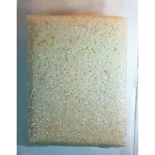 ข้าวขาวกข43 พันธุ์น้ำตาลต่ำ