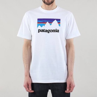 เสื้อยืด คอกลม แขนสั้น ผ้าฝ้าย ลาย Patagonia ยุค 24s สําหรับทุกเพศ