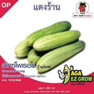 AGA SHOP เมล็ดพันธุ์แตงร้าน เอ็กซ์โพเรอร์