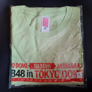 AKB48 TOKYO DOME ~1830mの夢~ concert T shirt Team - K