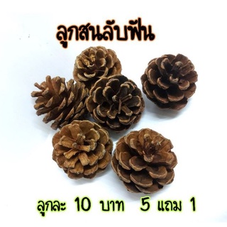 ลูกสนลับฟัน สำหรับสัตว์ฟันแทะ ( 5 แถม 1 )