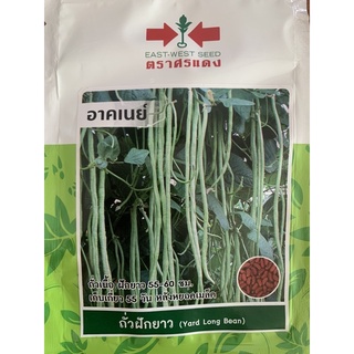 เมล็ดพันธ์ุถั่วฝักยาว❌ตราศรแดง💯ราคาซองละ💥10บาท💥ถั่วฝักยาวถั่วเนื้อฝักยาว55-60เซนติเมตรอายุเก็บเกี่ยว55วันหลังหยอดเมล็ดคะ