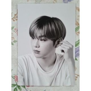 [แท้/พร้อมส่ง] โปสการ์ด คังแดเนียล Kang Daniel The 1st Art Book Never Standing Still Postcard Innocent ver.