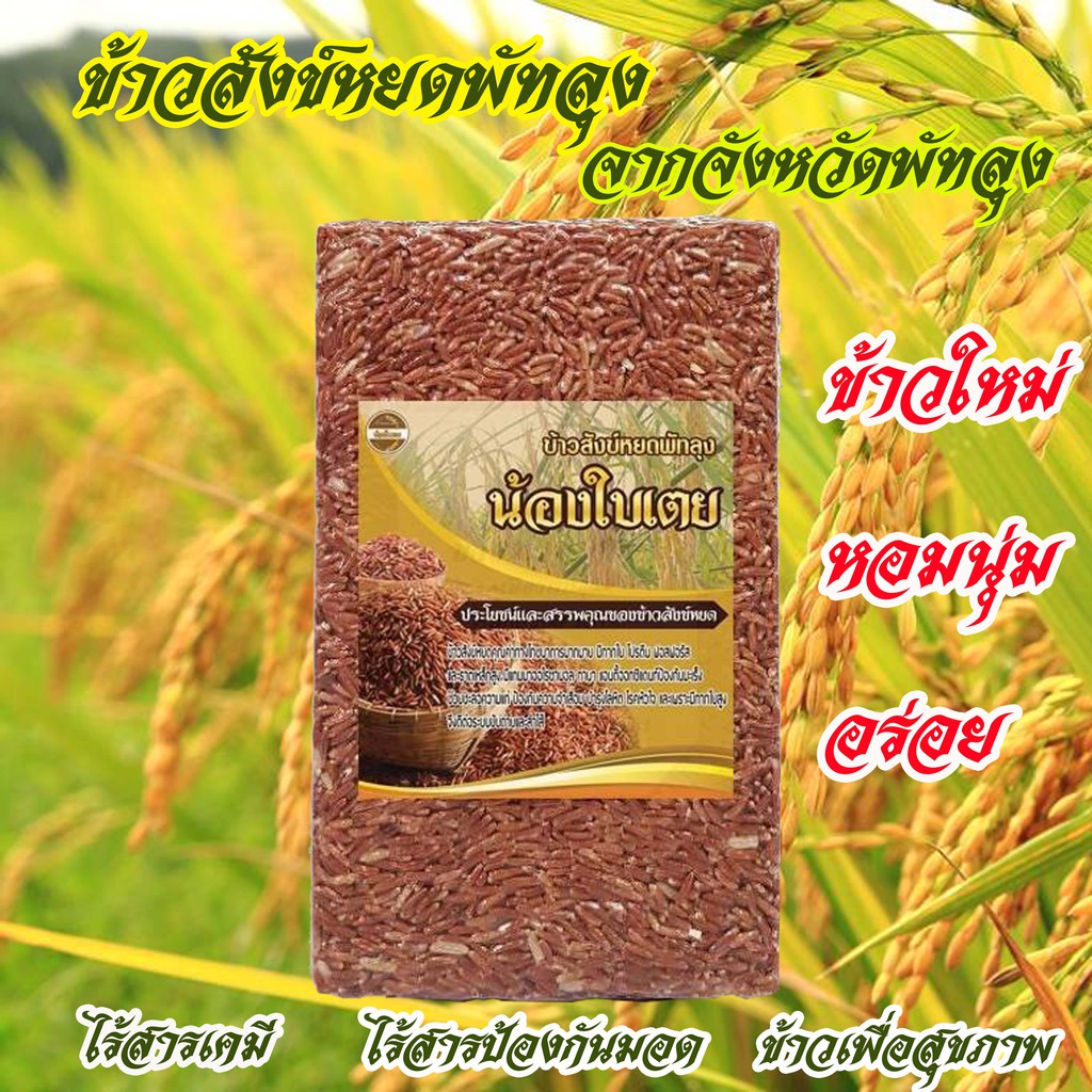 ข้าวสังข์หยดพัทลุงแท้ ข้าวซ้อมมือ ปลอดสารเคมี Organic ข้าวเพื่อสุขภาพ