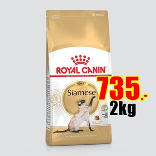 Royal Canin Siamese Adult 2kg อาหารสำหรับแมวโต พันธุ์วิเชียรมาศ อายุ 12 เดือน ขึ้นไป Exp:01/2023