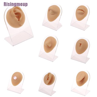 Risingmeup --- ซิลิโคนหูตาจมูกปากสะดือโมเดลกด