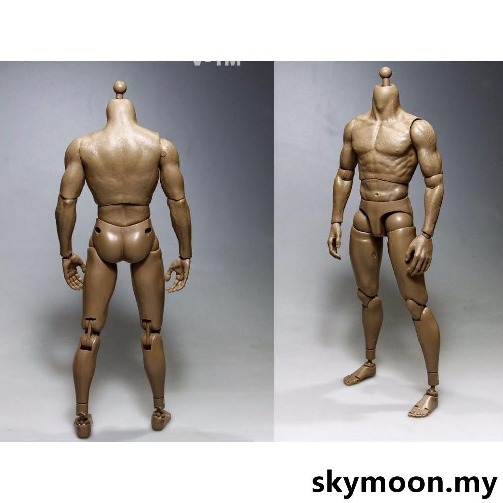 12'' Male Action Figure Muscular Body For 1/6 Scale Man No Head Model Ornament 