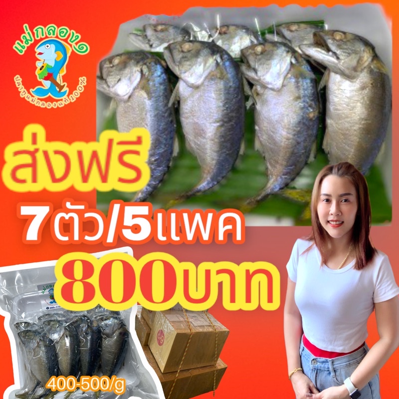 ปลาทู#ปลาทูนึ่ง#ปลาทูแม่กลองแท้/ร้านแม่กลอง๑#น้ำหนัก400-500กรัม