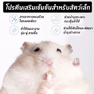[Hamsterthailand]Bucatstate อาหารเสริมกล่องฟ้า วิตามิน สำหรับสัตว์เลี้ยง แฮมสเตอร์