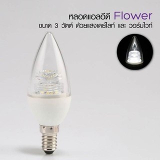 หลอด LED Flower  Candle ขนาด 3W E14 DL/ WW ( ยี่ห้อ อีฟ)💥