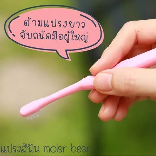 0-3 ขวบ+ Molar Bear แปรงสีฟันเด็ก ขนนุ่ม หัวแปรงขนาดเล็ก