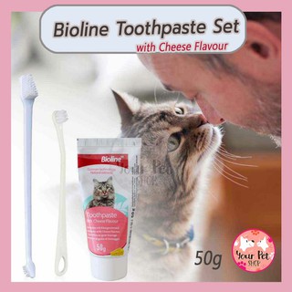 ราคาชุดแปรงฟันสำหรับแมวโดยเฉพาะ ยาสีฟันแมว แปรงสีฟันแมว Bioline Dental Hygiene for Cat สก็อตติช โฟลด์ เปอร์เซีย สีสวาด