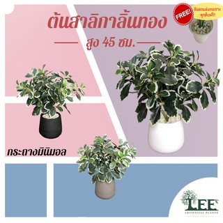 (( ต้นไม้มงคล! )) ต้นสาลิกาลิ้นทอง เสมือนจริง 45 ซม. #ต้นไม้ปลอมตกแต่งบ้าน Leeartplants (L58)(ก.8)