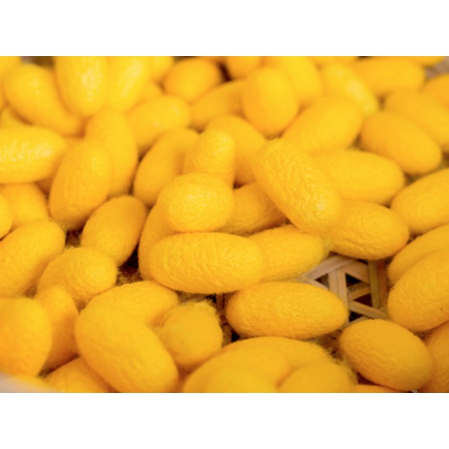 รังไหมเหลือง 20g รหัสสินค้า : 002045