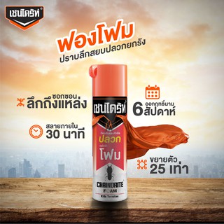 CHAINDRITE เชนไดร้ท์ **แบบโฟม** ป้องกัน กำจัดปลวก 250 มล.