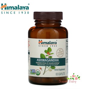 Himalaya Ashwagandha 60 Caplets โสมอินเดียสกัด 60 แคปเลท