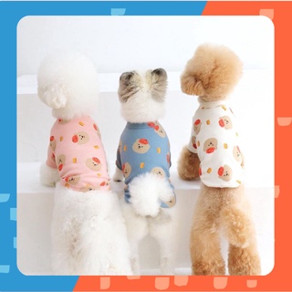 [🚚 พร้อมส่ง] เสื้อยืดแขนสั้นพิมพ์ลายหมีใส่หมวก Cute Bear Cartoon T-Shirt ชุดสัตว์เลี้ยง ชุดแมว ชุดหมา เสื้อแมว