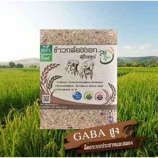 ข้าวกล้องงอก กาบ้าไรซ์ (GABA Rice) ขนาด 1 กก.