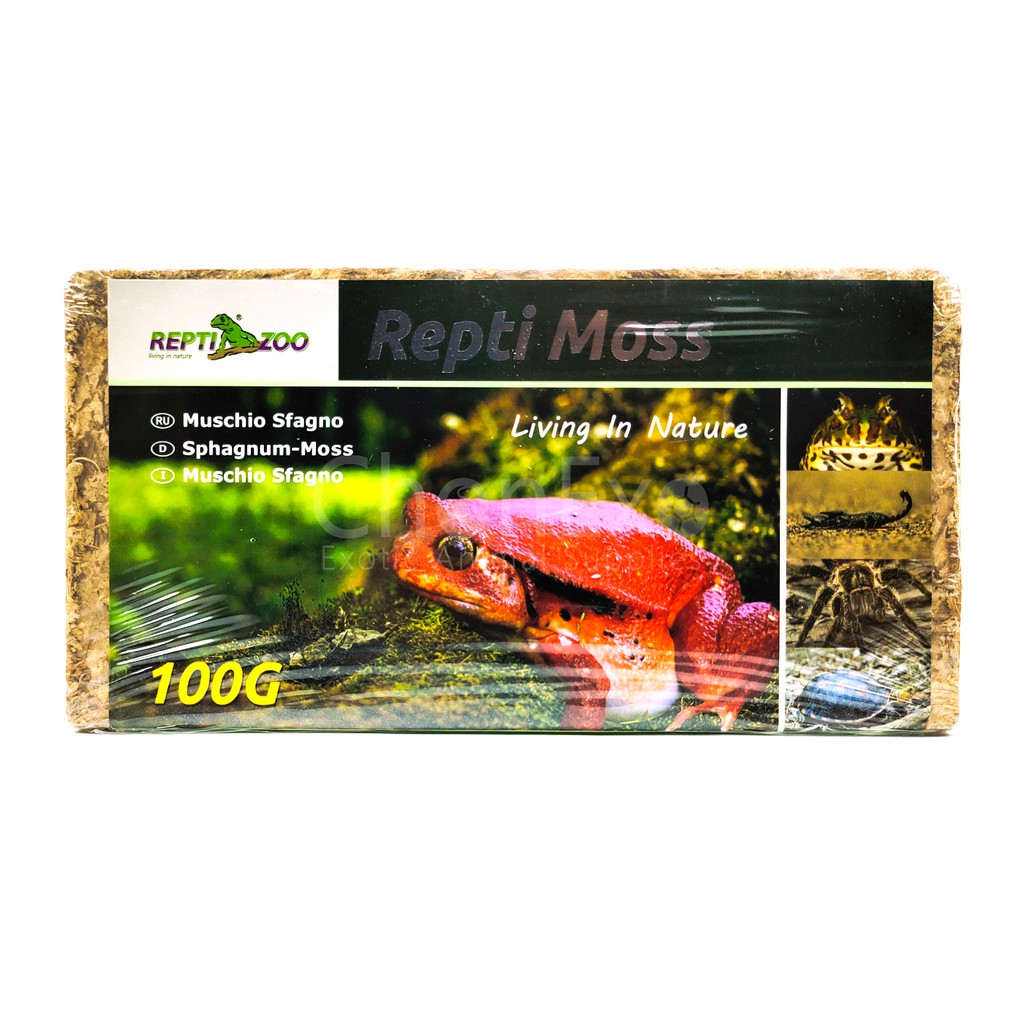 My Image 100